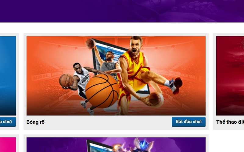 Cá cược Bóng Rổ CMD368