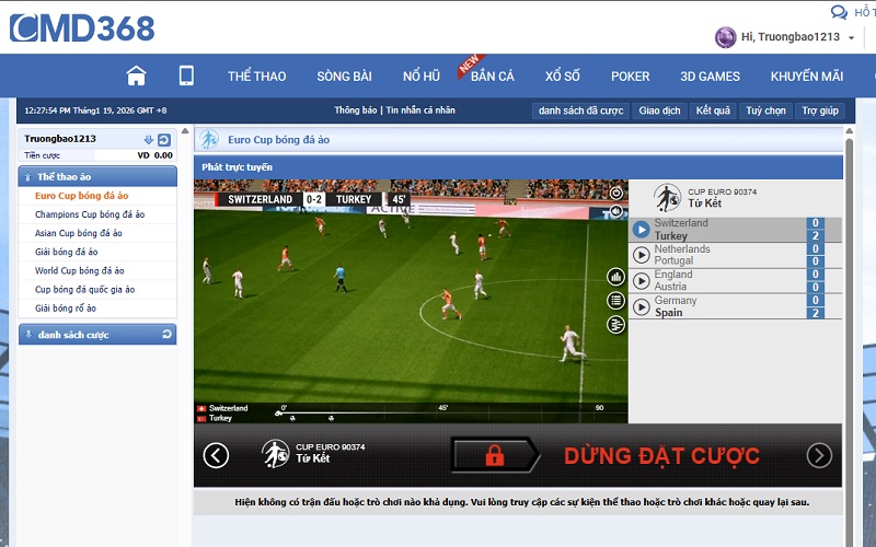 Mô phỏng cực đỉnh